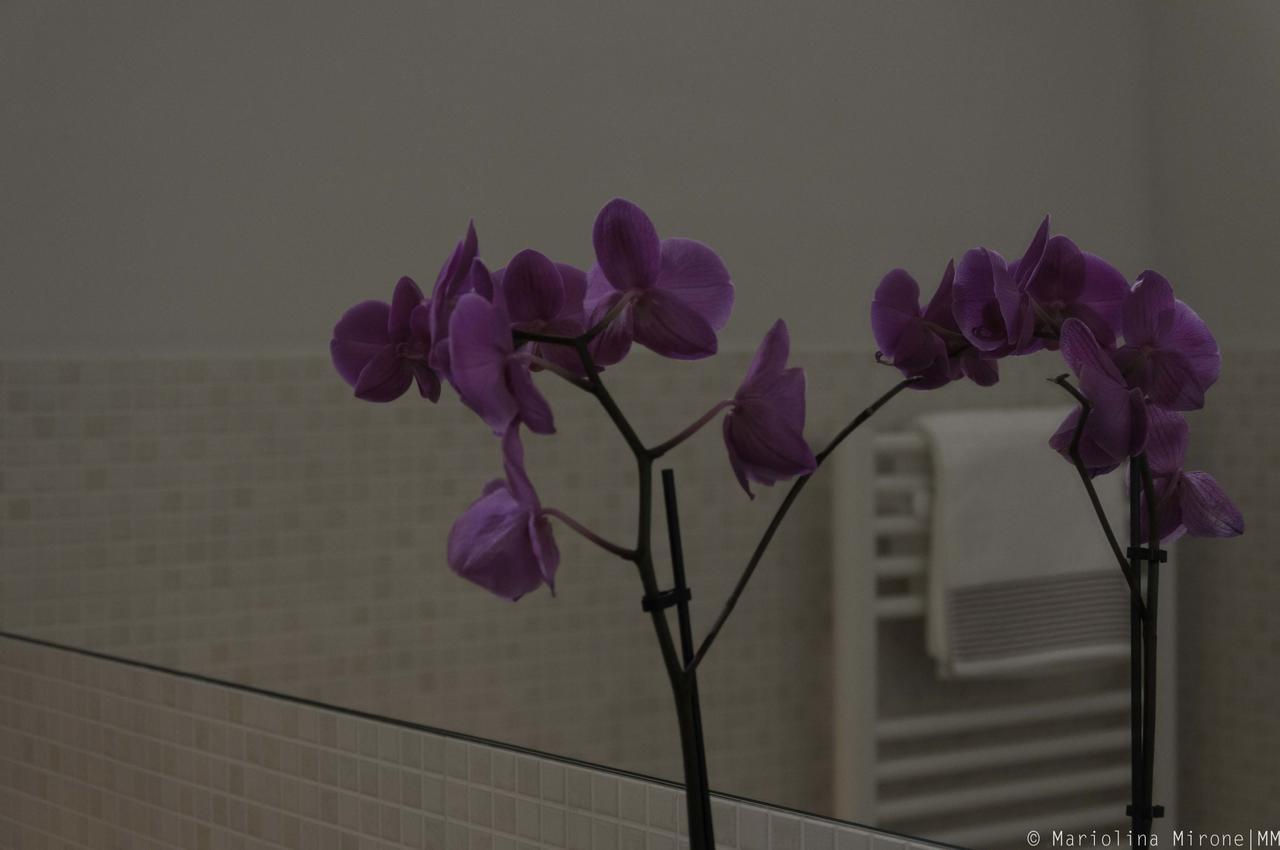 I Balconi Sul Castello Bed & Breakfast Catania Luaran gambar